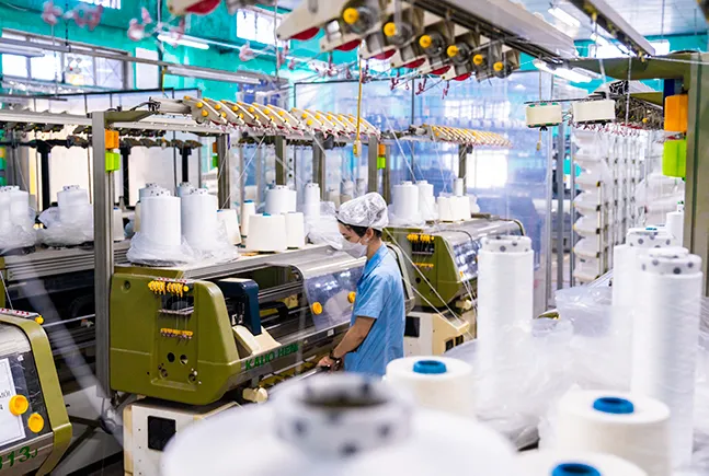Bí quyết chọn vải sợi thiên nhiên phù hợp cho thiết kế của bạn vẫn sản xuất công nghiệp đáp ứng thị trường